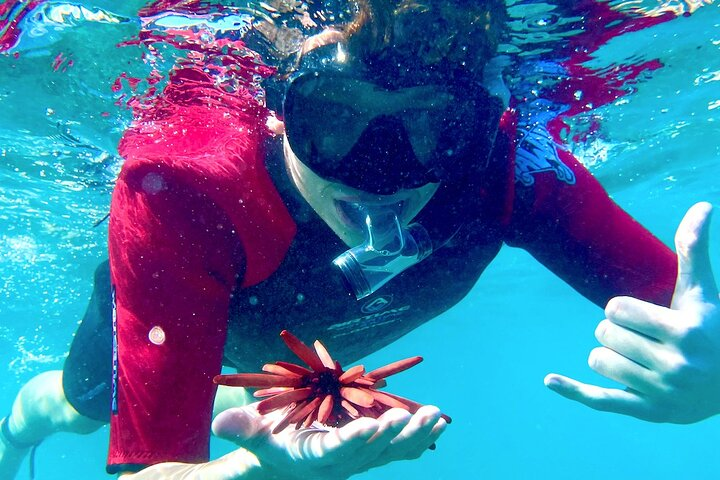 Guided Snorkeling for Beginners with Flotation Wetsuit - Photo 1 of 9
